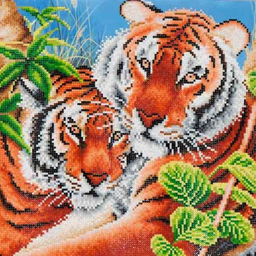 Tender tigers